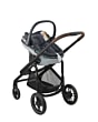 1919750110_2021_maxicosi_stroller_plazaplus_essentialgraphite_3qrtleft_coral360